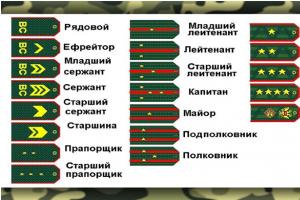 Что значит ВУС в военном билете: расшифровка, специальности, коды